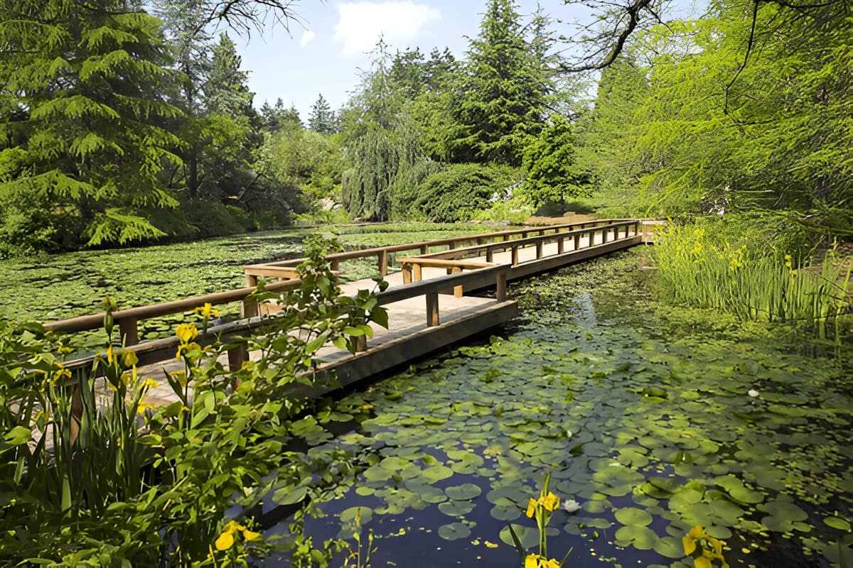 VanDusen Botanical Garden